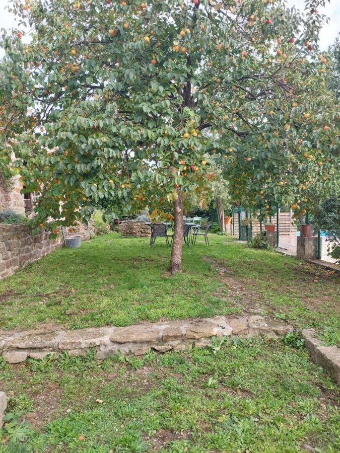 Chambre Cambalotte Saint-Florent-sur-Auzonnet Exterior foto